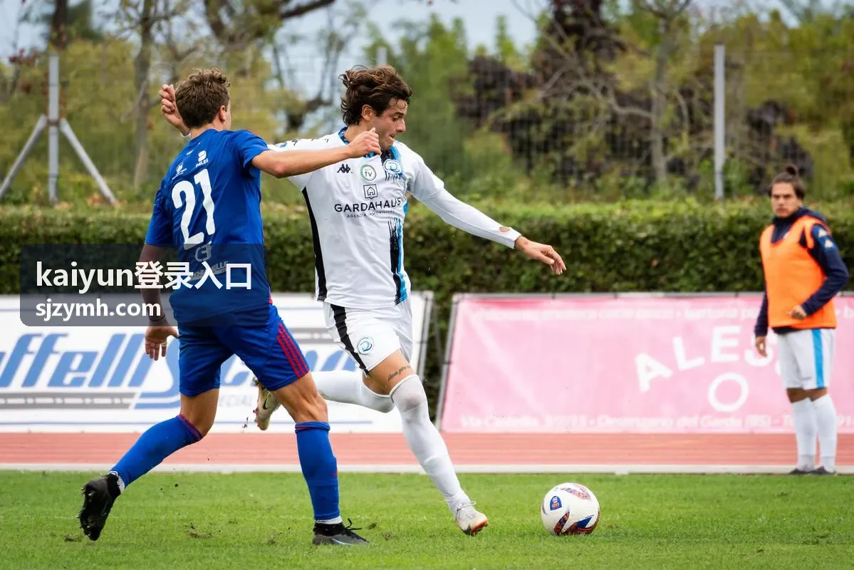 kaiyun登录入口平台介绍与栏目内容